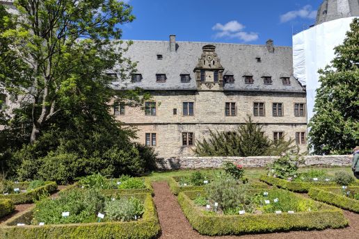 Gartengeheimnisse: „Die Heilkunst der Jesuiten“ am Pfingstsonntag, 9. Juni, um 15 Uhr im Burggarten der Wewelsburg 